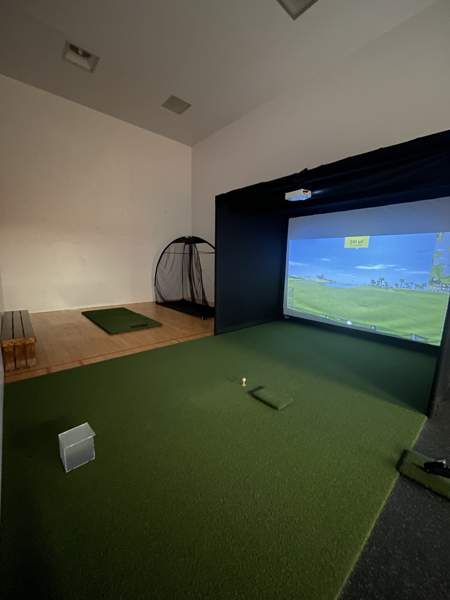 Golf Simulator setup