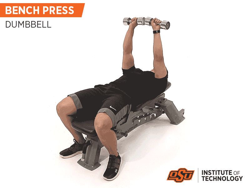 Bench Press with Dumbells