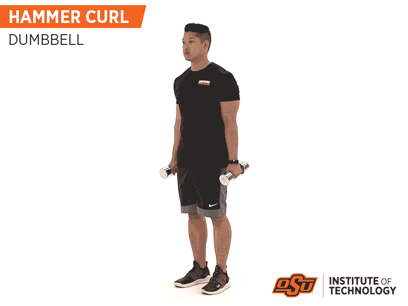 Hammer Curl with Dumbells