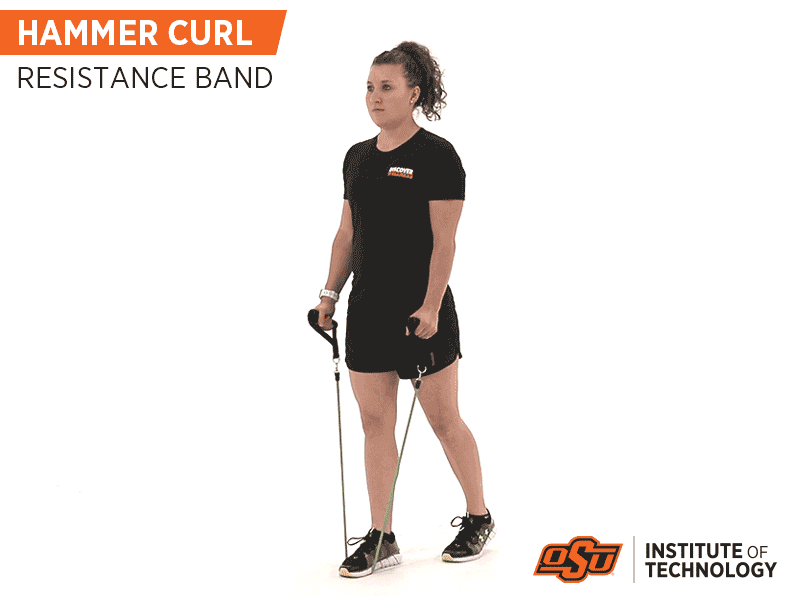 Hammer Curl with Resistance Bands