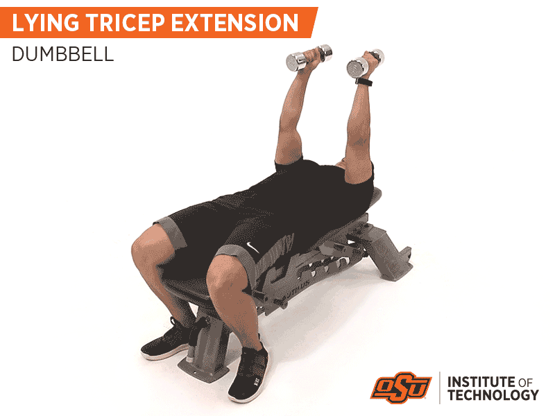 Tricep Extensions with Dumbells