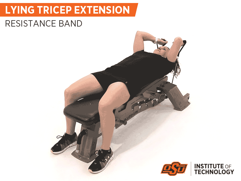 Tricep Extensions with Resistance Bands