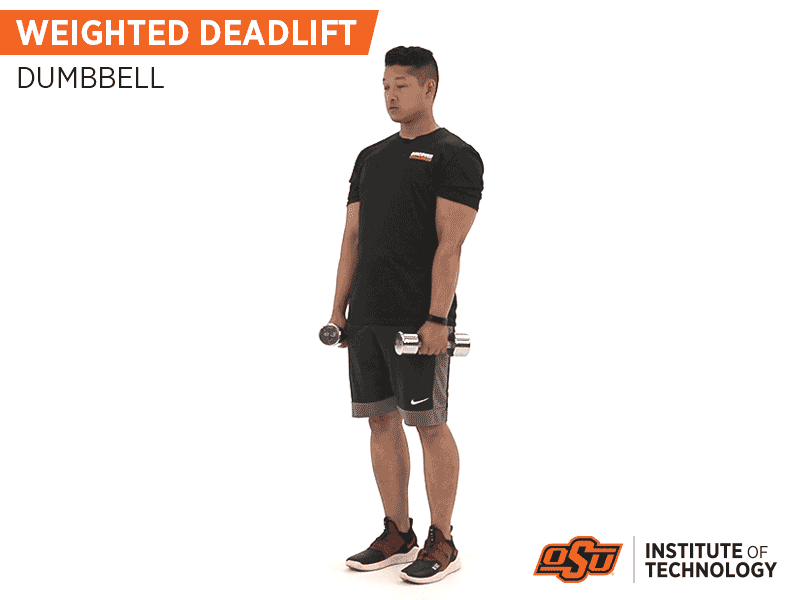 Weighted Deadlift with Dumbells