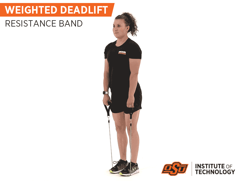 Weighted Deadlift with Resistance Bands