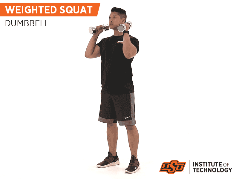 Weighted Squats with Dumbells